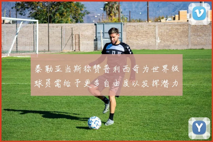 泰勒亚当斯称赞普利西奇为世界级球员需给予更多自由度以发挥潜力