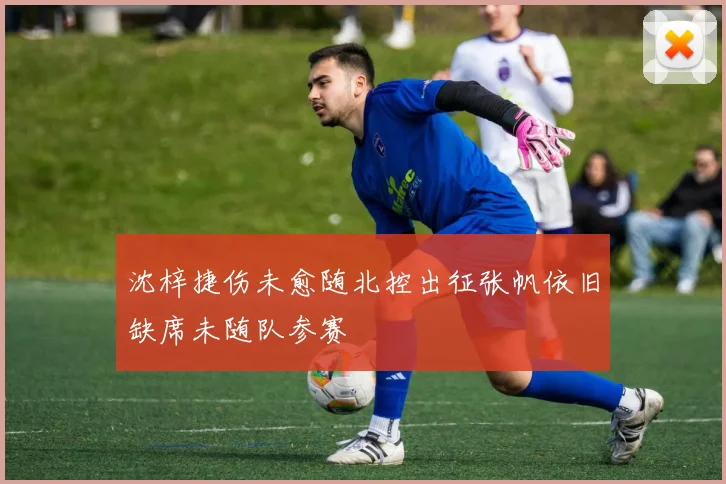 沈梓捷伤未愈随北控出征张帆依旧缺席未随队参赛