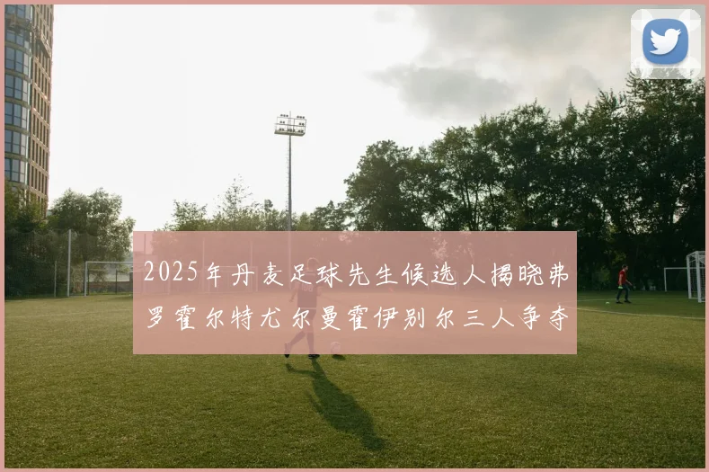 2025年丹麦足球先生候选人揭晓弗罗霍尔特尤尔曼霍伊别尔三人争夺荣耀