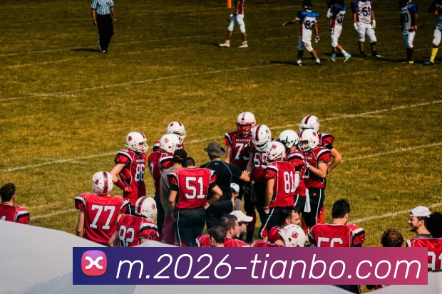 天博体育平台生态图